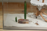 Museum Quality Box Foraging Area, Large (Custom 3)