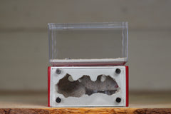 Mini Hearth (Red 528)