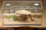 Mini Labyrinth (Black 6401)(Vermiculite)