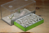 Mini Labyrinth (Lime 6409)