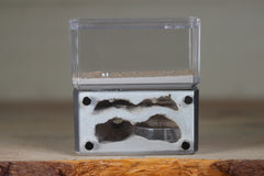 Mini Hearth, Bifurcated (Grey 100)