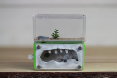 Mini Hearth (Lime Green- Glow 103)