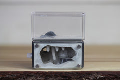 Mini Hearth Original (Grey 101)