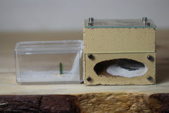 Mini Hearth Type I (Beige 2)