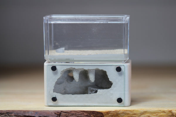 Mini Hearth Type III (M305 Bone)