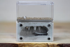 Mini Hearth Type III (M800 Bone)