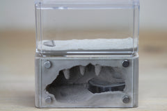 Mini Hearth (Bone 3)