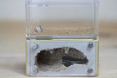 Mini Hearth (Beige/Vermiculite 8)