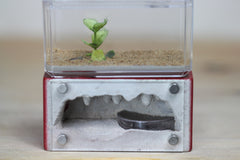 Mini Hearth (Red 17)