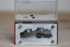 Mini Hearth (Red 18)