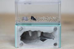 Mini Hearth (Malachite 35)