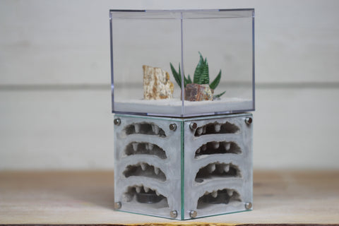 Casita (Type III)