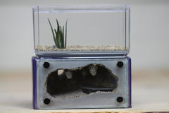 Mini Hearth (Purple V102)