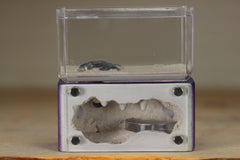 Mini Hearth (Purple 242)