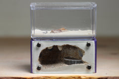 Mini Hearth (Purple V332)