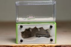 Mini Hearth (Lime 339)