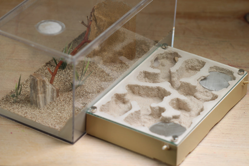 Mini Labyrinth (Beige 101) – Tar Heel Ants