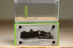 Mini Hearth (Lime 371)