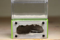Mini Hearth (Lime 373)