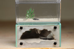 Mini Hearth (Malachite 402)