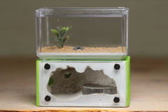 Mini Hearth (Lime 537)