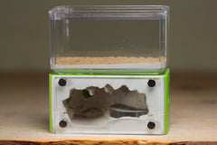 Mini Hearth (Lime 538)