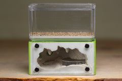 Mini Hearth (Lime 539)