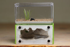 Mini Hearth (Lime 540)