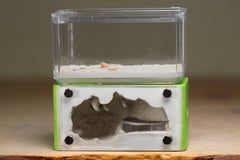 Mini Hearth (Lime 541)