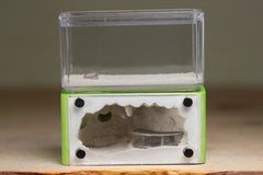 Mini Hearth (Lime 542)