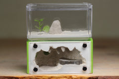 Mini Hearth (Lime 543)