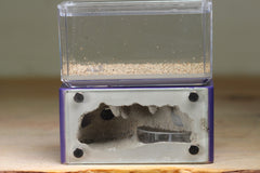 Mini Hearth (Purple 670)