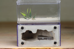 Mini Hearth (Purple 671)