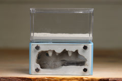 Mini Hearth (Light Blue 857)