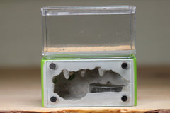 Mini Hearth (Lime 913)