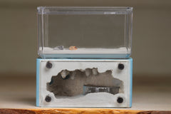 Mini Hearth (Light Blue 2032)