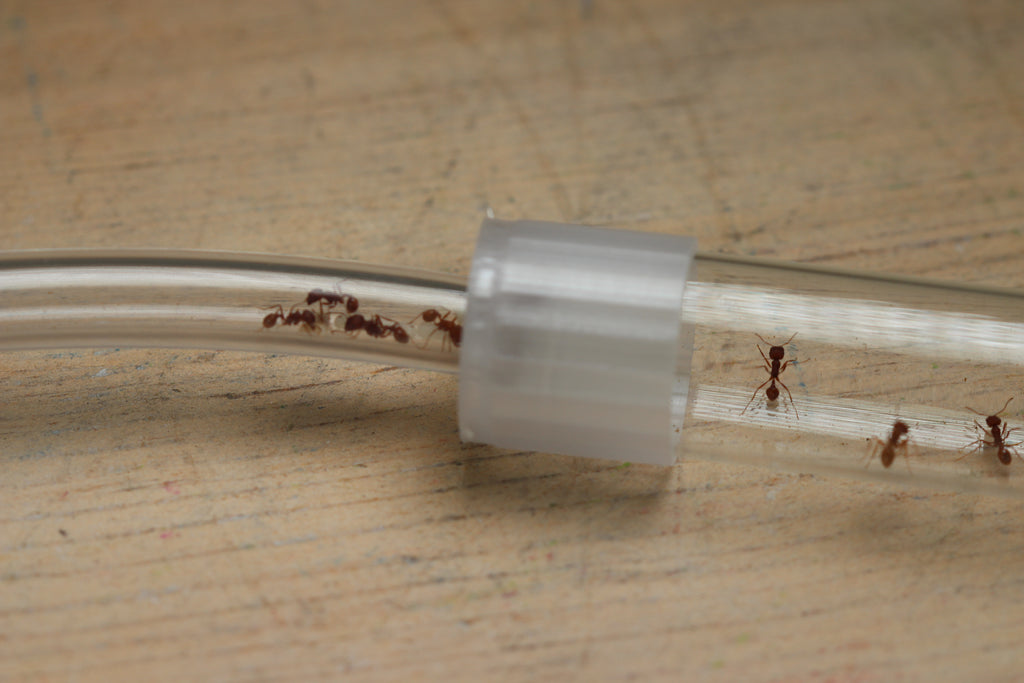 Test Tube Adapter (3/8