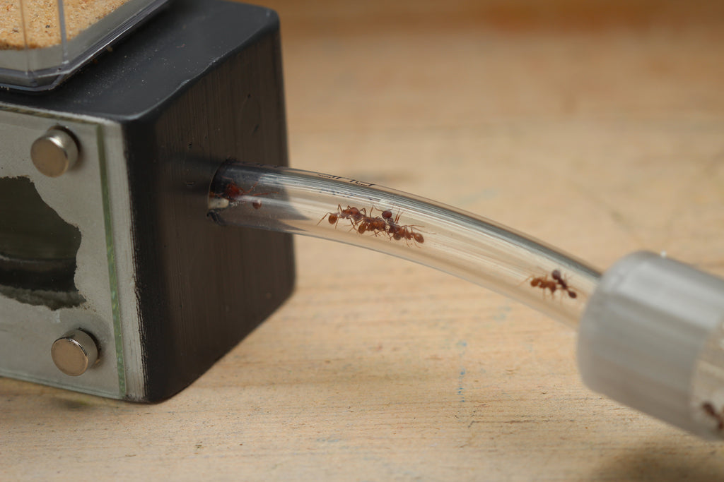 Test Tube Adapter (3/8