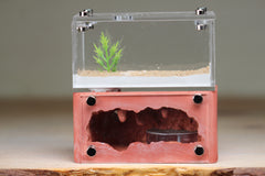 Mini Hearth (Red 2809)(MQ Box)