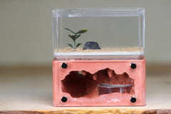 Mini Hearth (Red 2816)