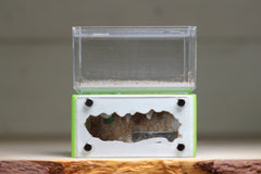 Mini Hearth (Lime 3230)