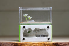 Mini Hearth (Lime 3231)(GLOW)