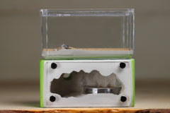 Mini Hearth (Lime 3327)
