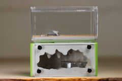 Mini Hearth (Lime 3328)