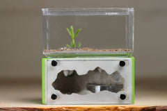 Mini Hearth (Lime 3329)