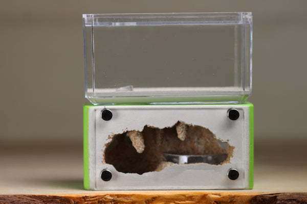 Mini Hearth (Lime 3330)
