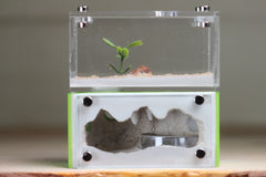 Mini Hearth (Lime 4056)(MQ)