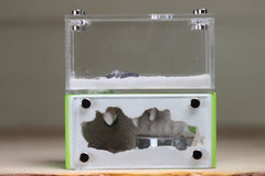 Mini Hearth (Lime 4057)(MQ)