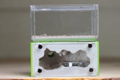 Mini Hearth (Lime 4058)