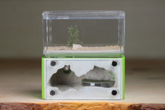 Mini Hearth (Lime 4214)